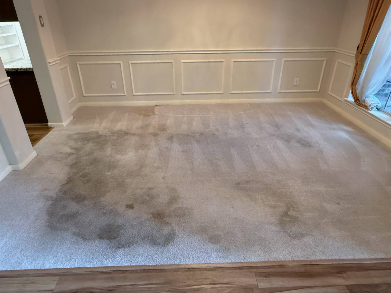 Carpet before cleaning