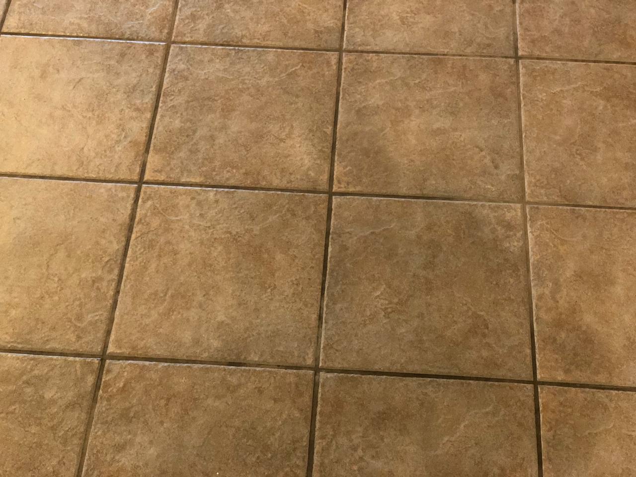 Discolored orange-stained tile and grout before professional cleaning — Scott's Carpet Care, Humble TX